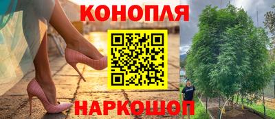 сатива Рязань